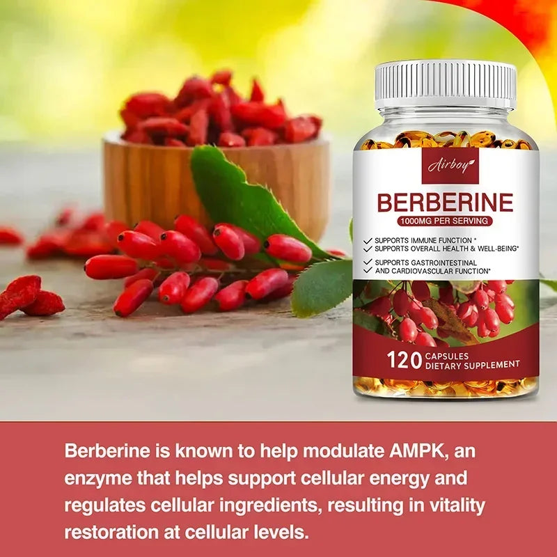 Berberine HCl Dietary Supplement for Adults - 30/60/120 Capsules